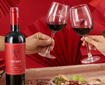 Rượu vang Chile Aromo Special Edition Merlot