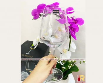 Bộ 4 ly pha lê Tiệp uống vang Gourmet 715ml