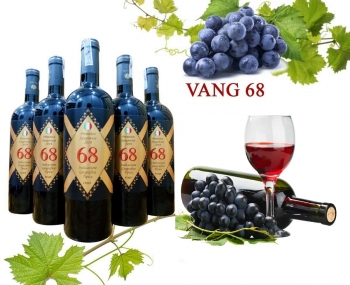 Rượu vang Ý 68 Indicazione Geografica Tipica